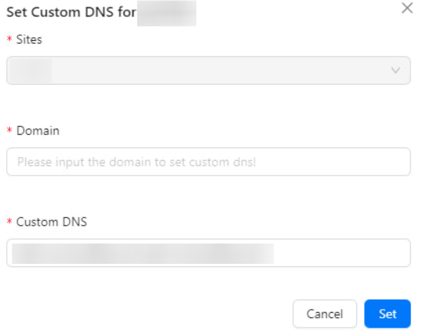 Set Custom DNS Image